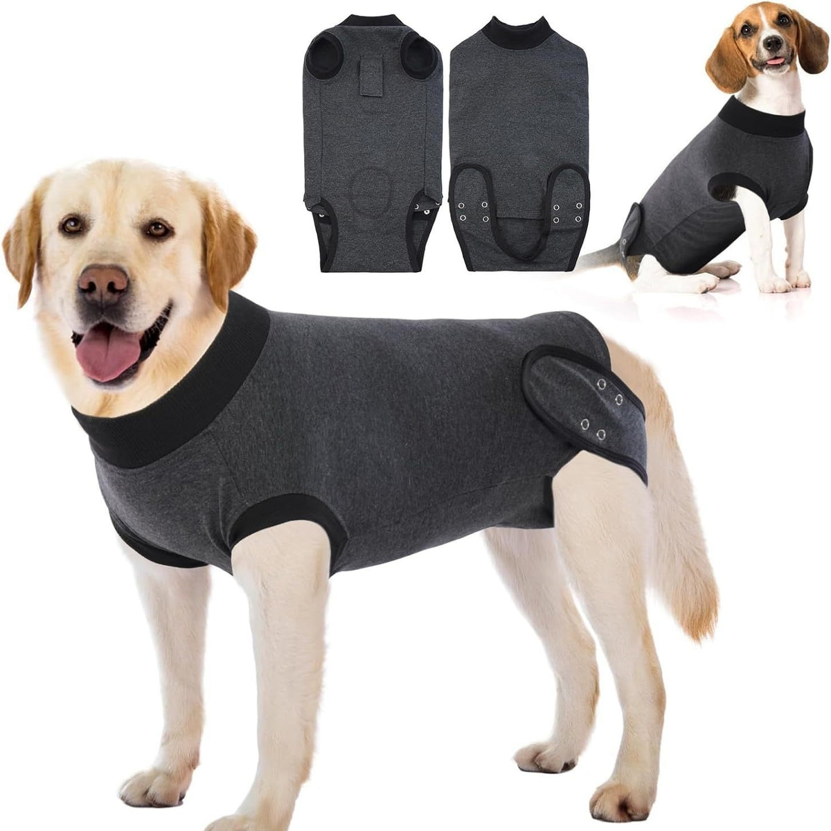 Cover Suit — the actual product: soft grey recovery singlet, front and back, on a Labrador