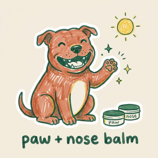 Paw + Nose Balm Duo — Shade Dog Co.